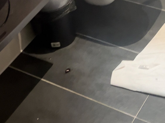 Garner Hotel Wiesbaden City by IHG主图