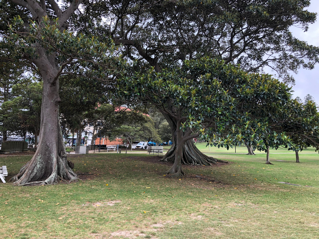 Robertson Park-屈臣湾必去景点