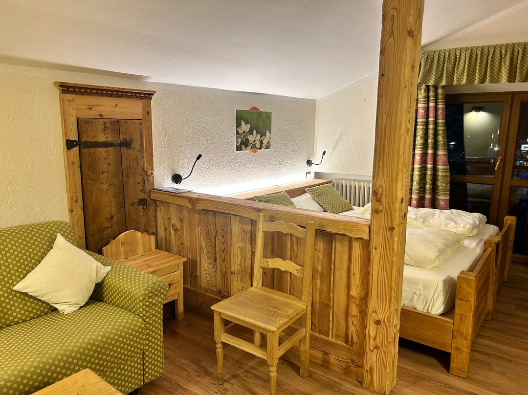 Hotel Stella Alpina主图