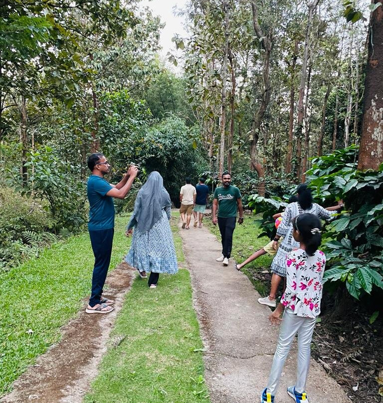 Adrak Mountain Mist Forest Resort主图