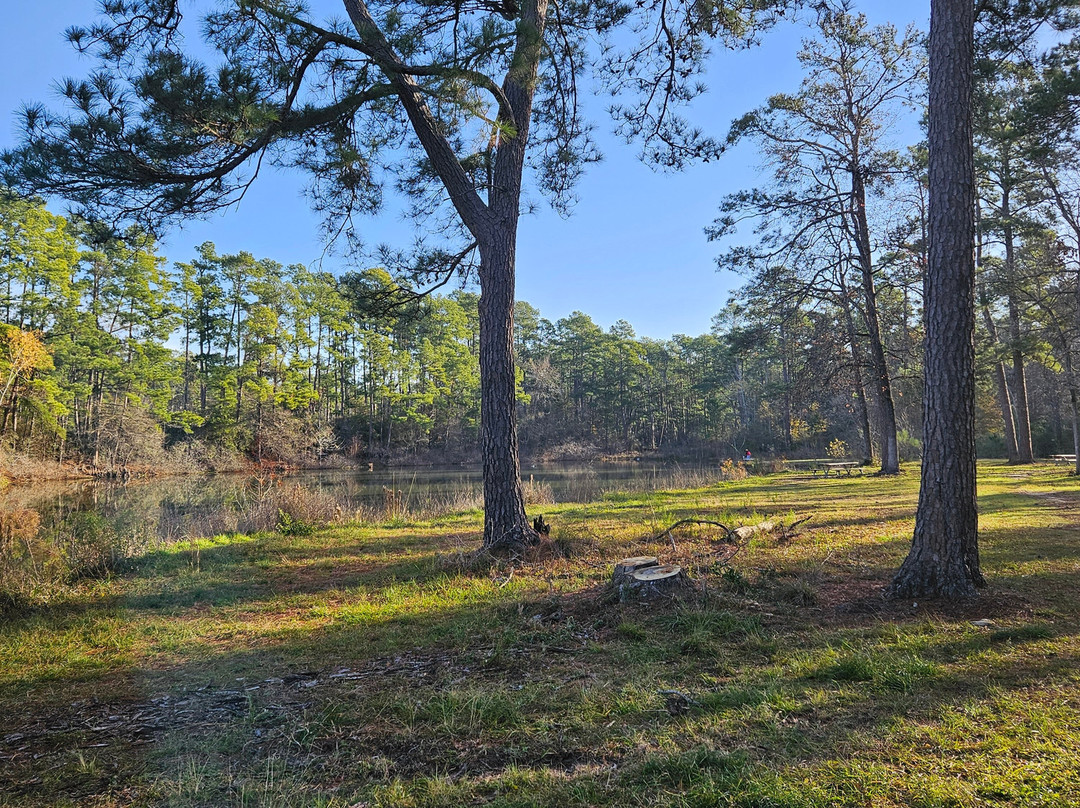 W. G. Jones State Forest-Conroe必去景点