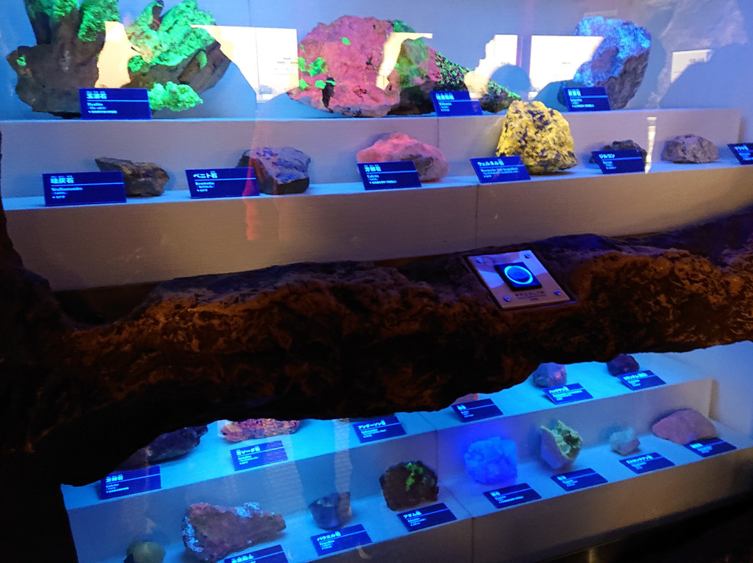 Museum Park Ibaraki Nature Museum-阪东市必去景点