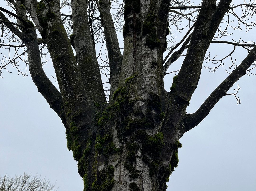 TownePlace Suites by Marriott Portland Beaverton主图