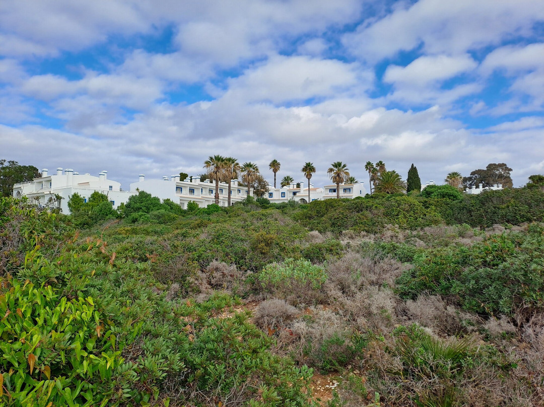 Pestana Palm Gardens主图