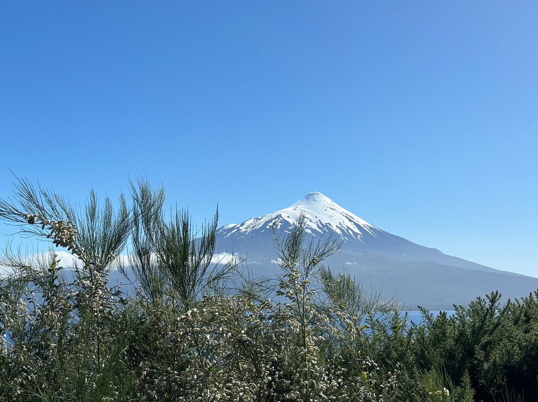 Chile Shore Tours-蒙特港必去景点