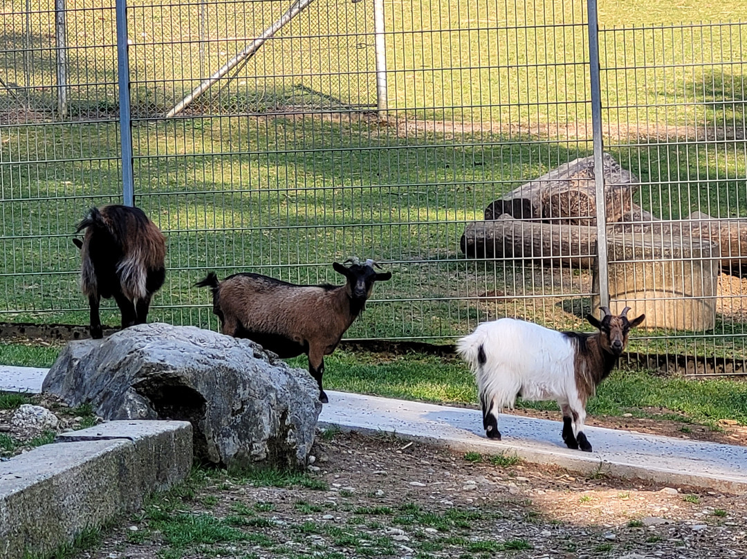 Tierpark Bad Zurzach-Bad Zurzach必去景点