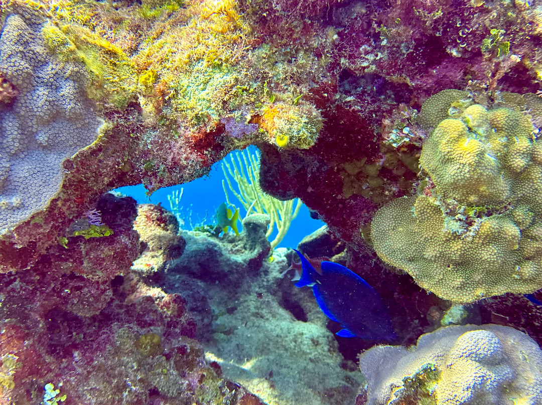 Casa Particular Lidia y Julio主图