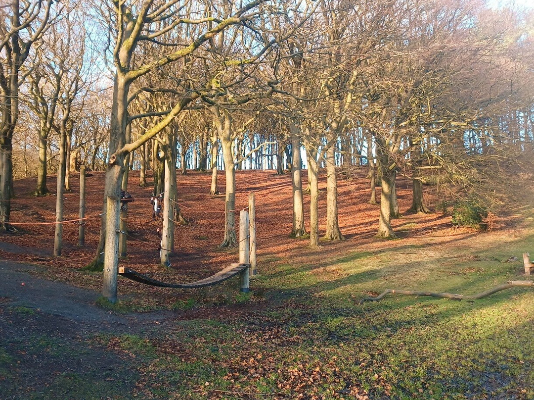 Tandle Hill Country Park景点图片