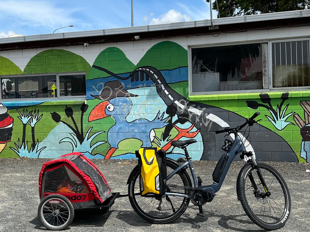 Shorebird Cycles-Kaiaua必去景点