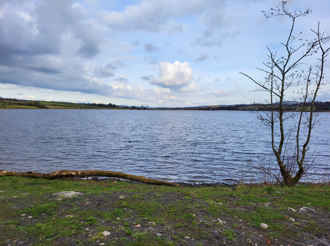 Lochshore Park景点图片