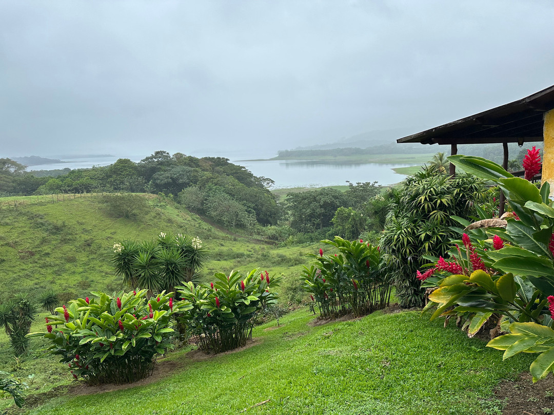 Genuine Costa Rica景点图片