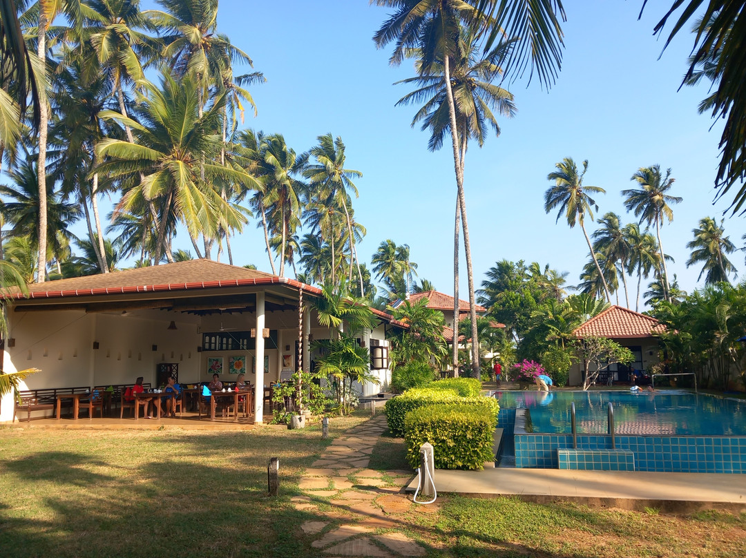 Rekawa酒店住宿-Lanka Beach Bungalows