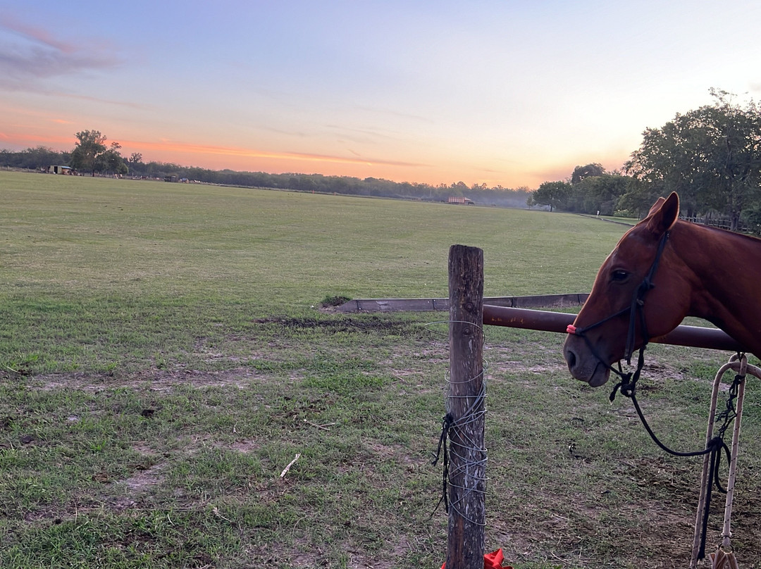 La Amistad Polo-Pilar必去景点