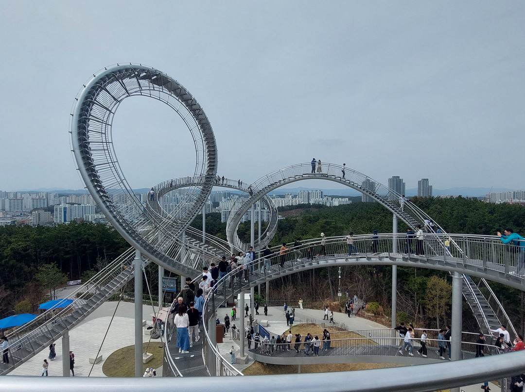 Hwano Park Space Walk景点图片