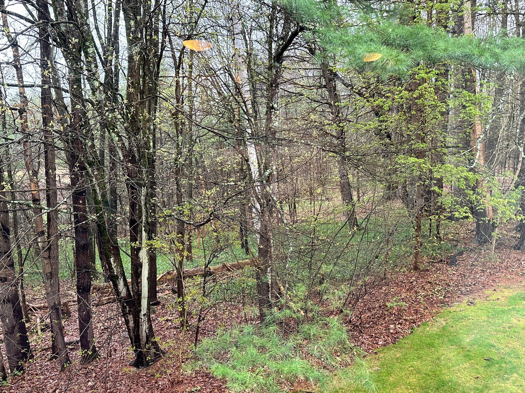 The Inn at Crumpin-Fox主图