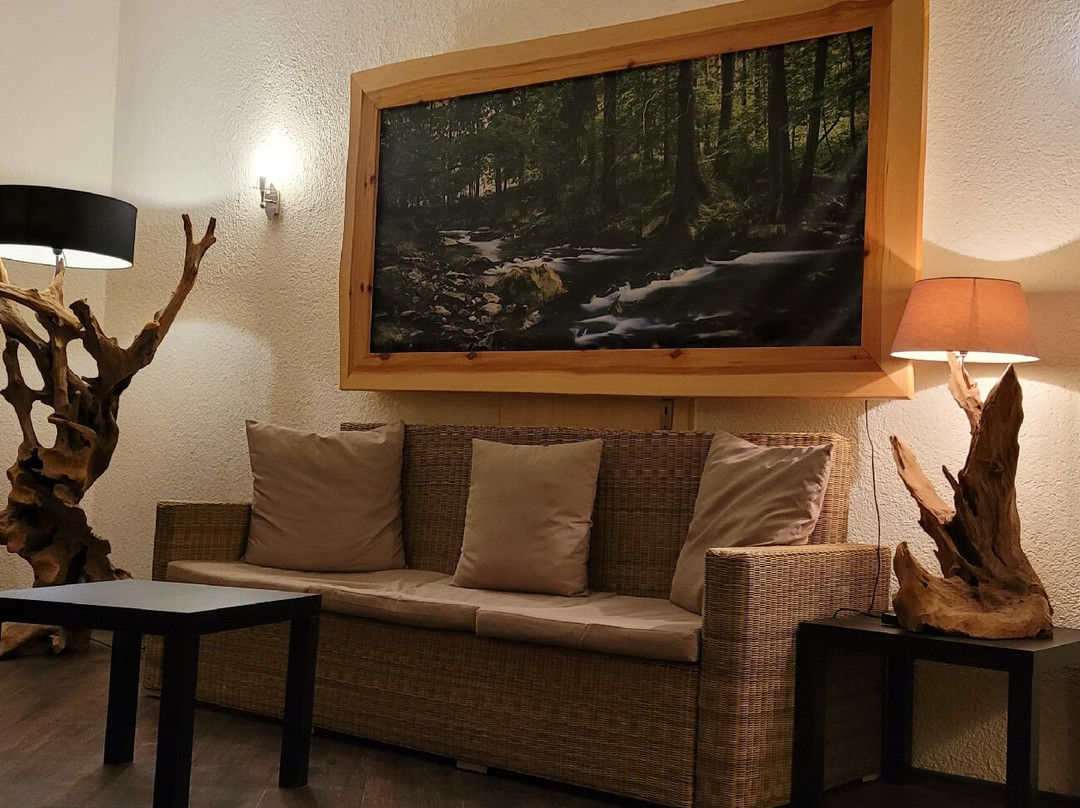 Sonnenhotel Hoher Hahn主图