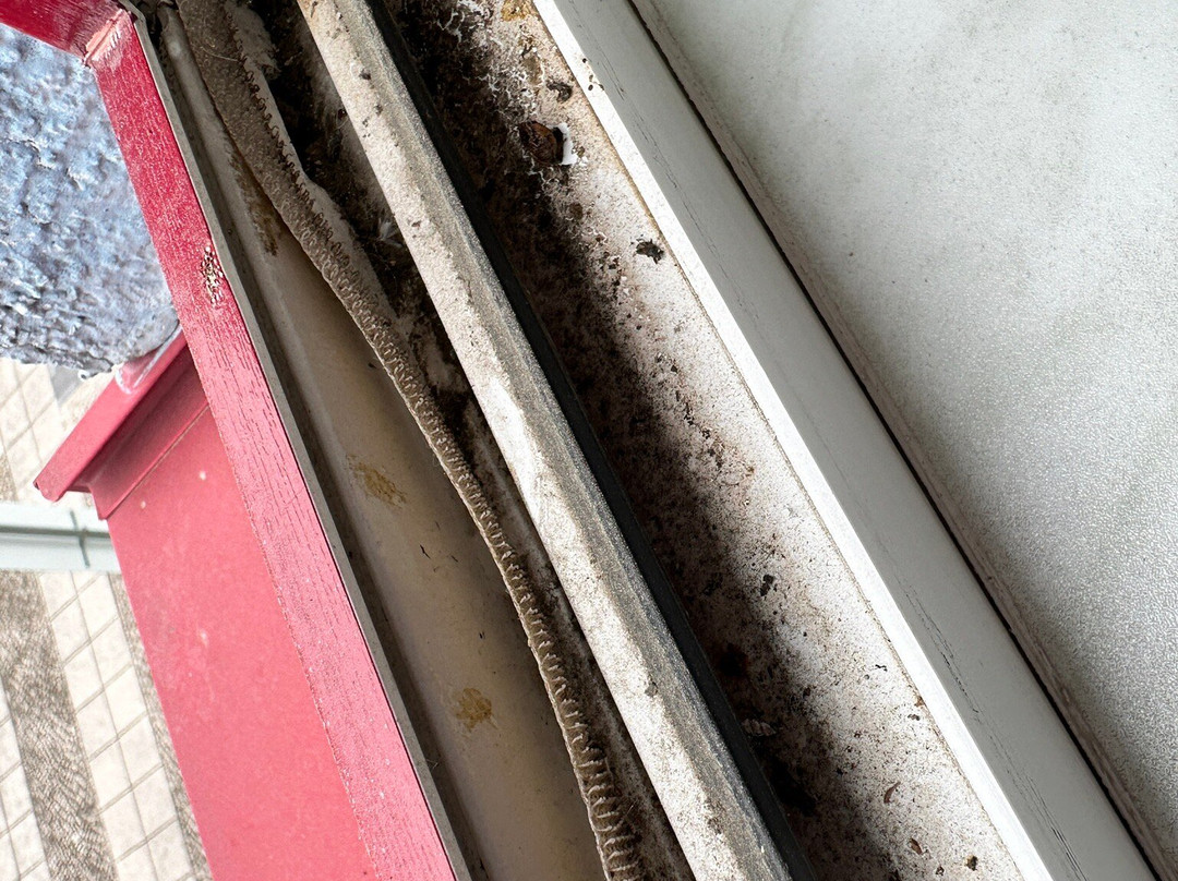 Bernstein Salzland Center主图