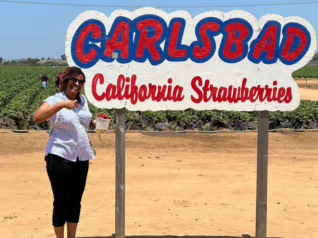 U-Pick Carlsbad Strawberry Company-卡尔斯巴德必去景点
