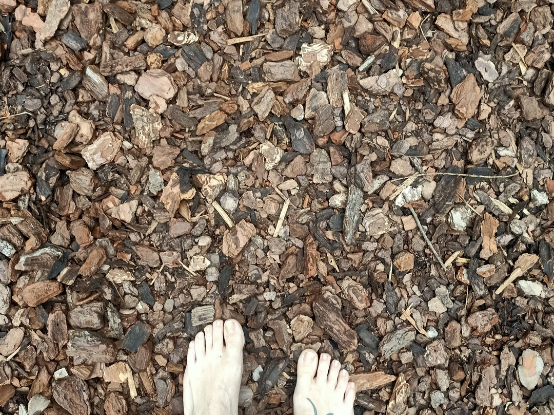Val di Concei景点图片