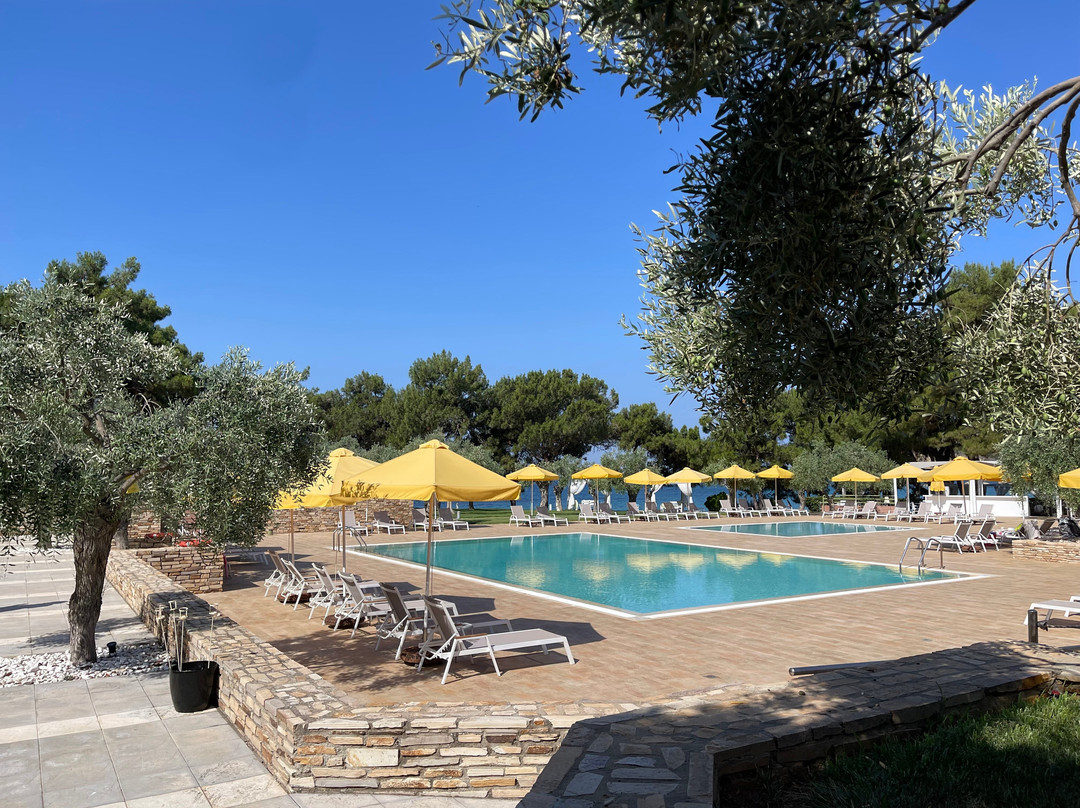 Royal Paradise Beach Resort & Spa主图