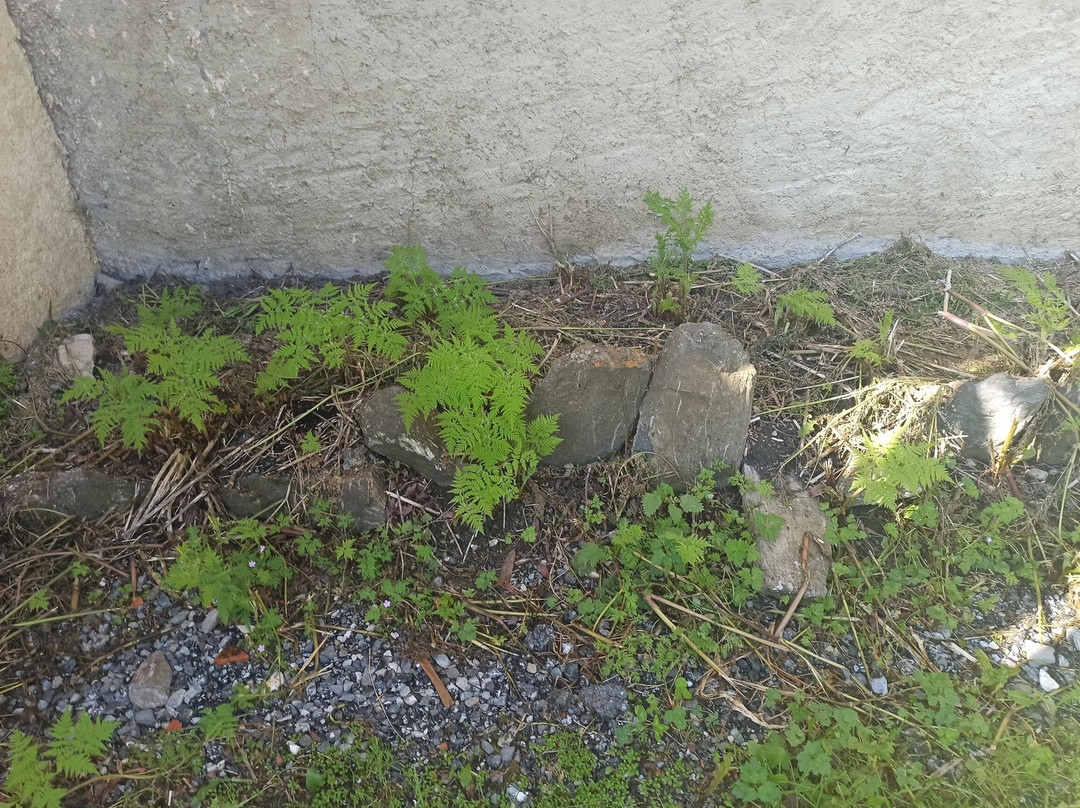 Logis Hôtel le Faranchin主图