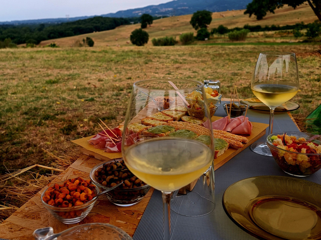 Agriturismo Poggio Degli Ulivi主图