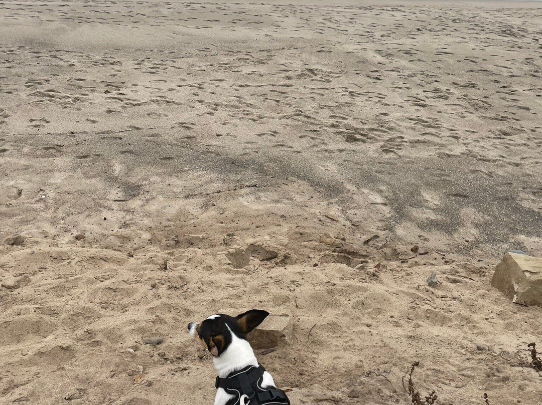 Sycamore Cove Beach-马里布必去景点