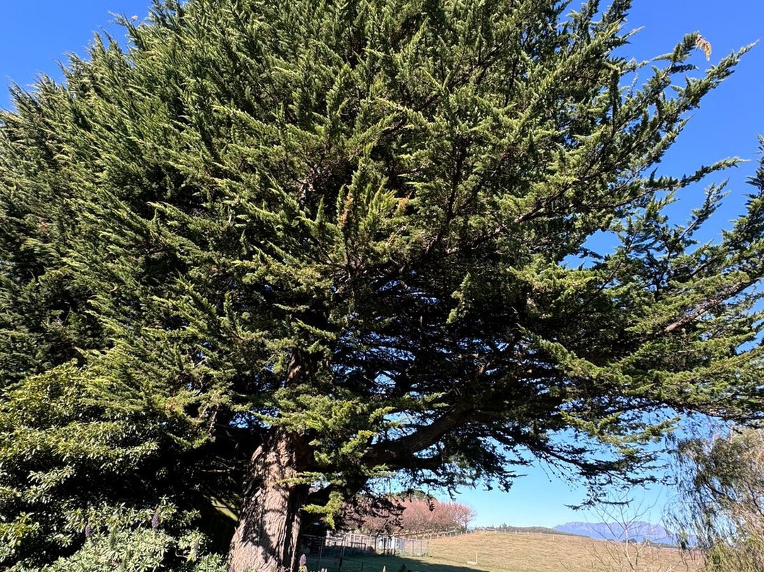 The Truffledore-Barrington必去景点