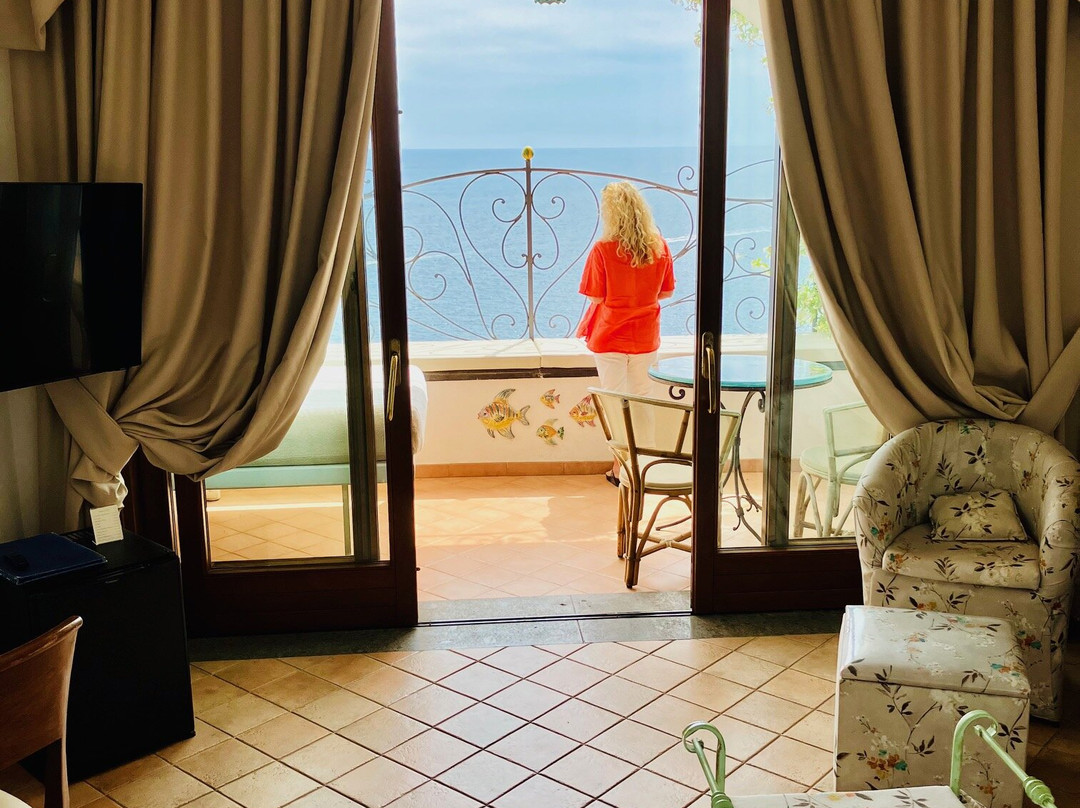 Hotel La Conca Azzurra主图