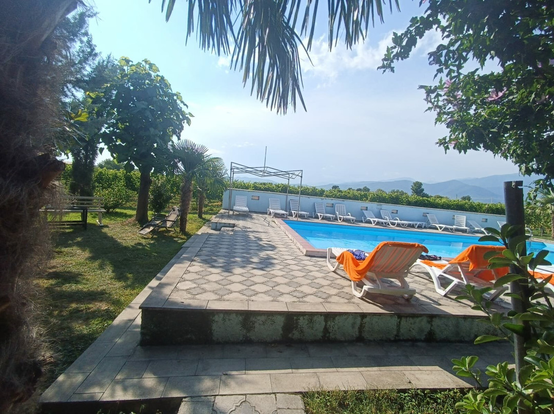 Shaloshvili's Cellar Hotel主图