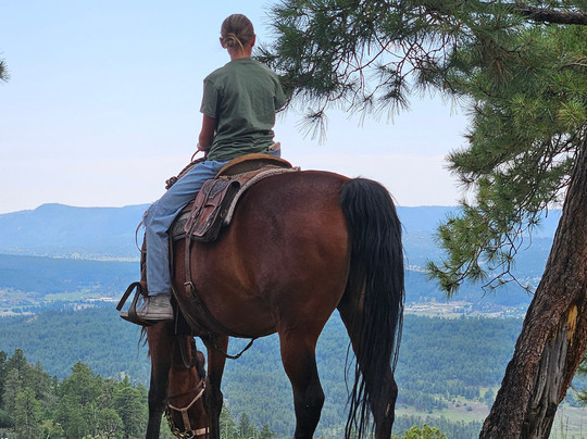 Majestic Outfitters-帕戈萨斯普林斯必去景点