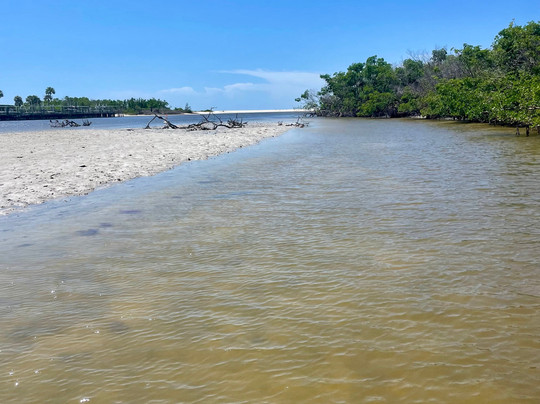 Adventures Kayaking-博尼塔斯普林斯必去景点