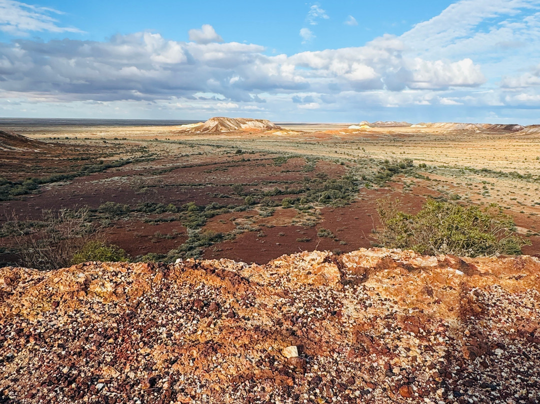 Lake Eyre Tours景点图片