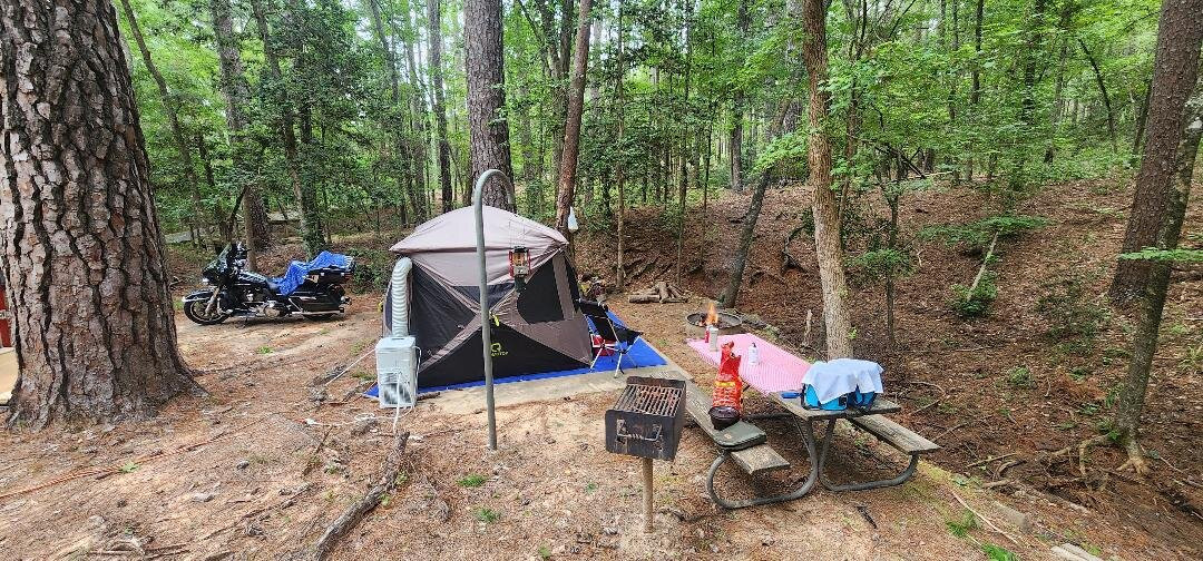 Mission Tejas State Park-Grapeland必去景点