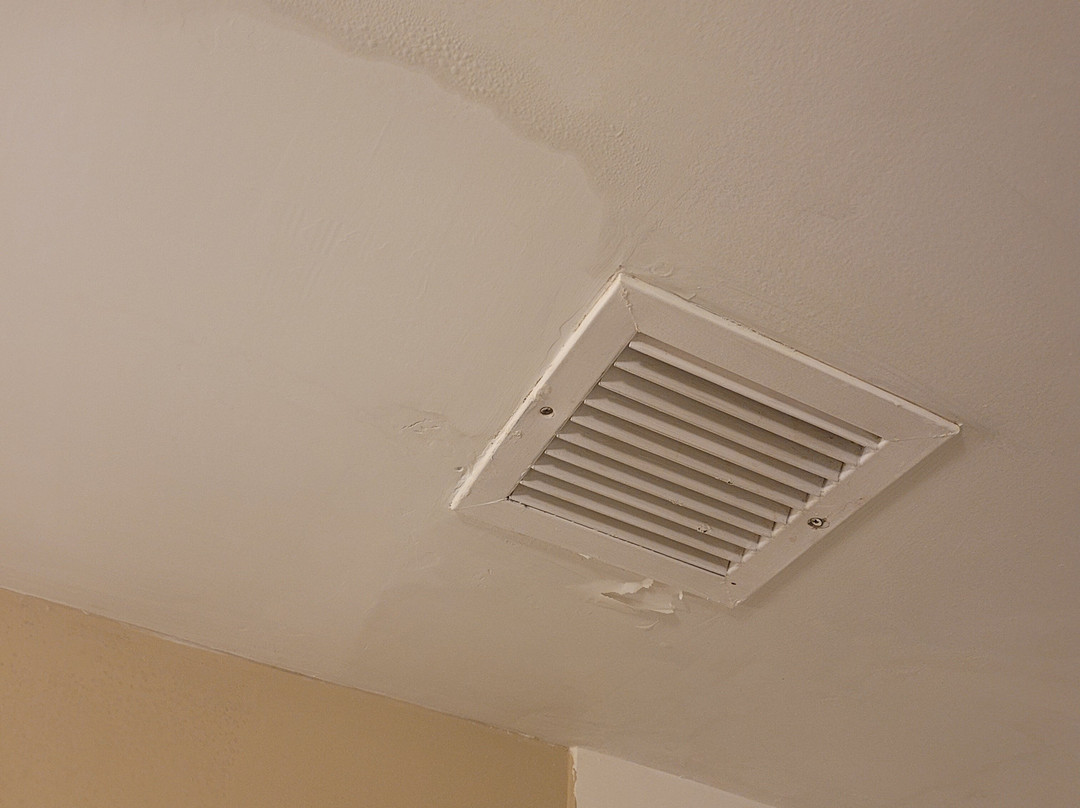 北坦帕希尔顿花园酒店主图