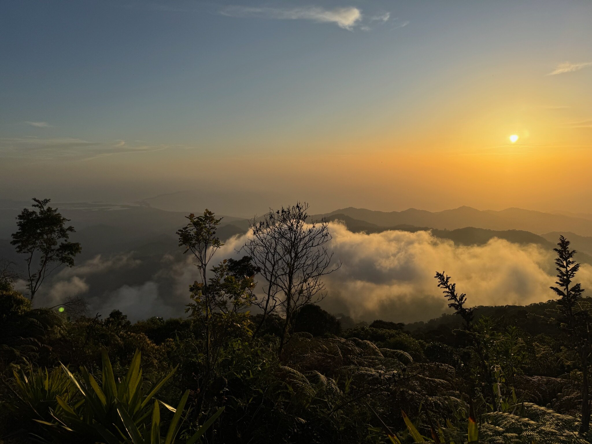 El Dorado Nature Reserve-酒店景观