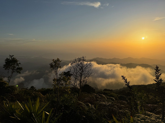 El Dorado Nature Reserve主图