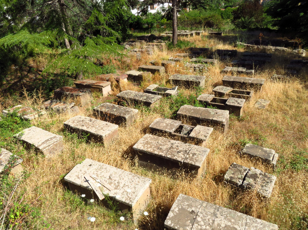 Parco Archeologico景点图片