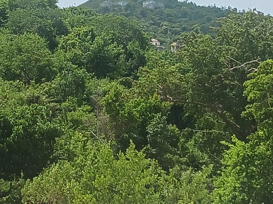 Island Girl Charters-夏洛特阿马利亚必去景点
