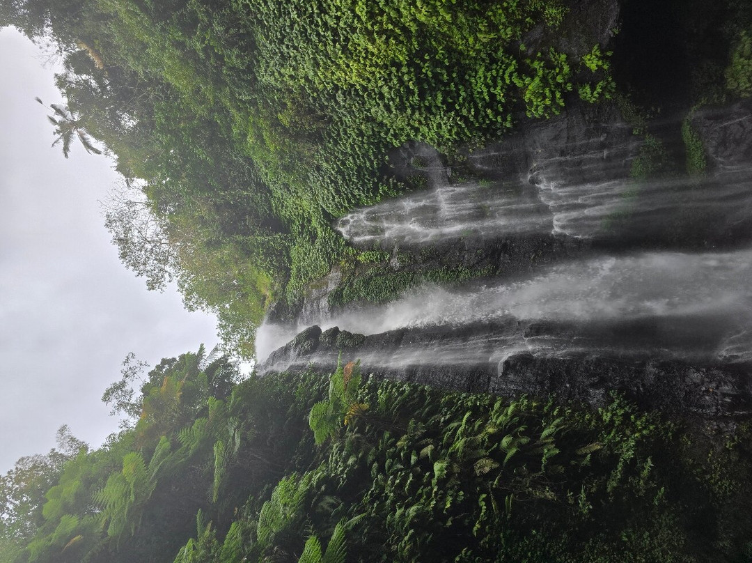 Sugi  Trekking Sekumpul景点图片