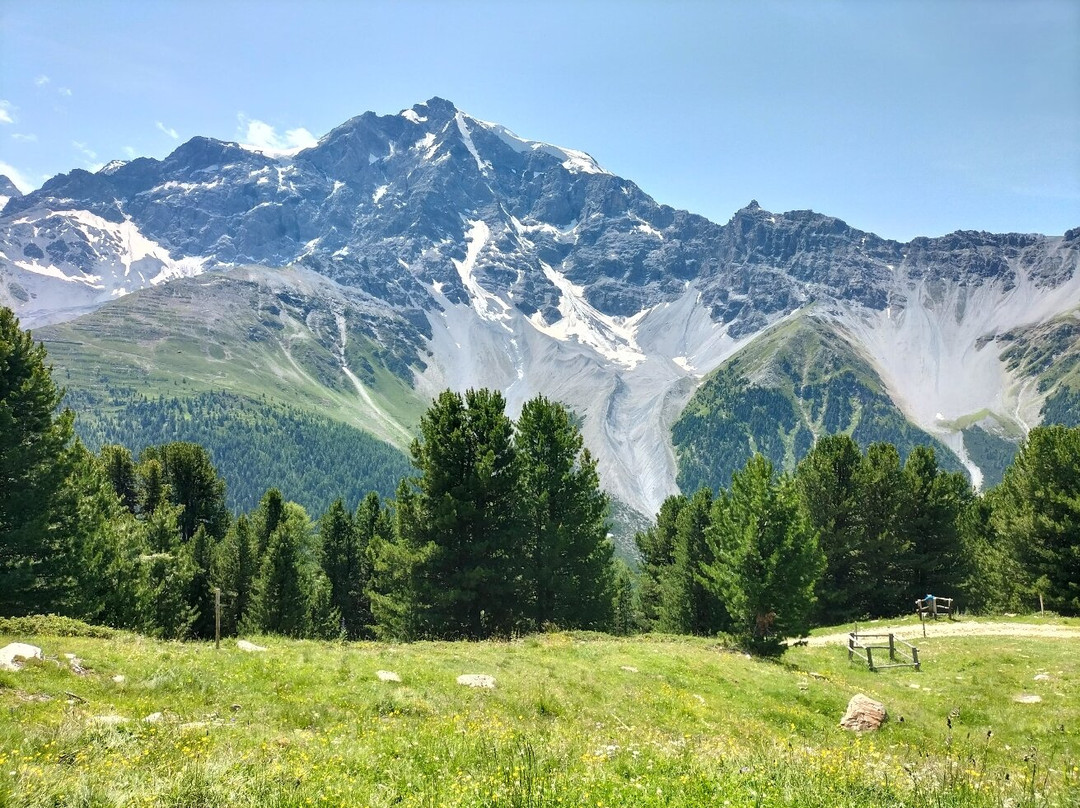 Malga dei Vitelli-Solda必去景点