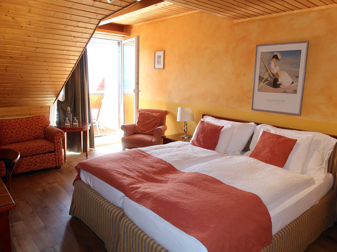Hotel Silberhorn AG主图