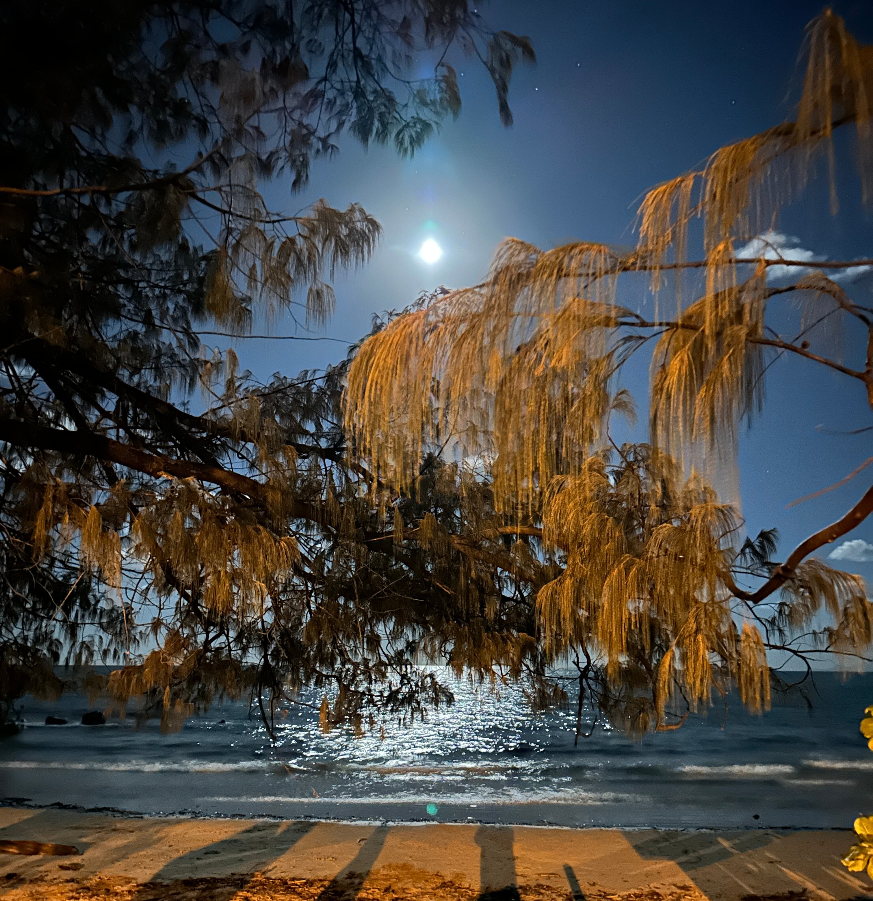 Mowbray By The Sea-泳池
