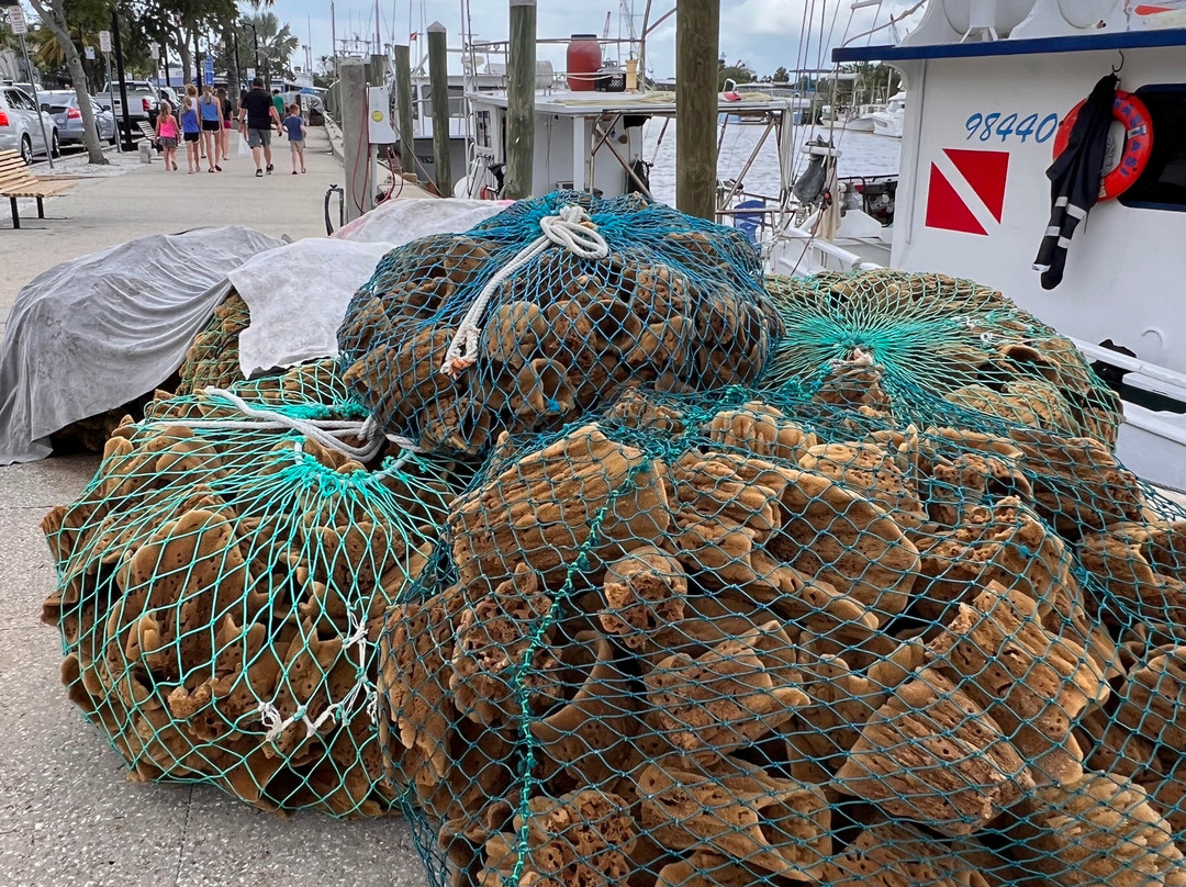 St. Nicholas Boat Line-塔彭斯普林斯必去景点