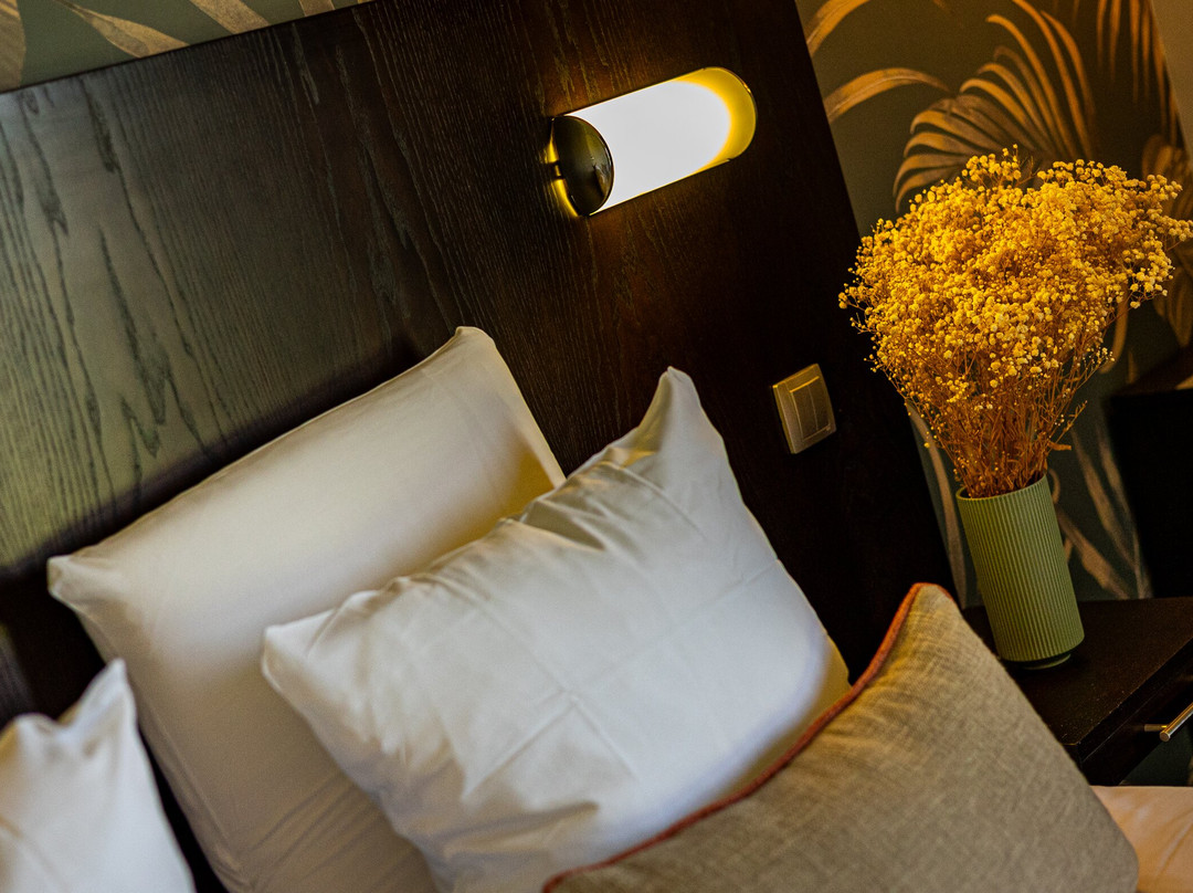 Hostellerie d'Aussois主图