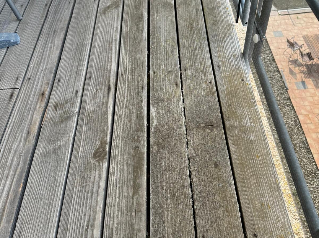 JUFA Hotel Schwarzwald主图