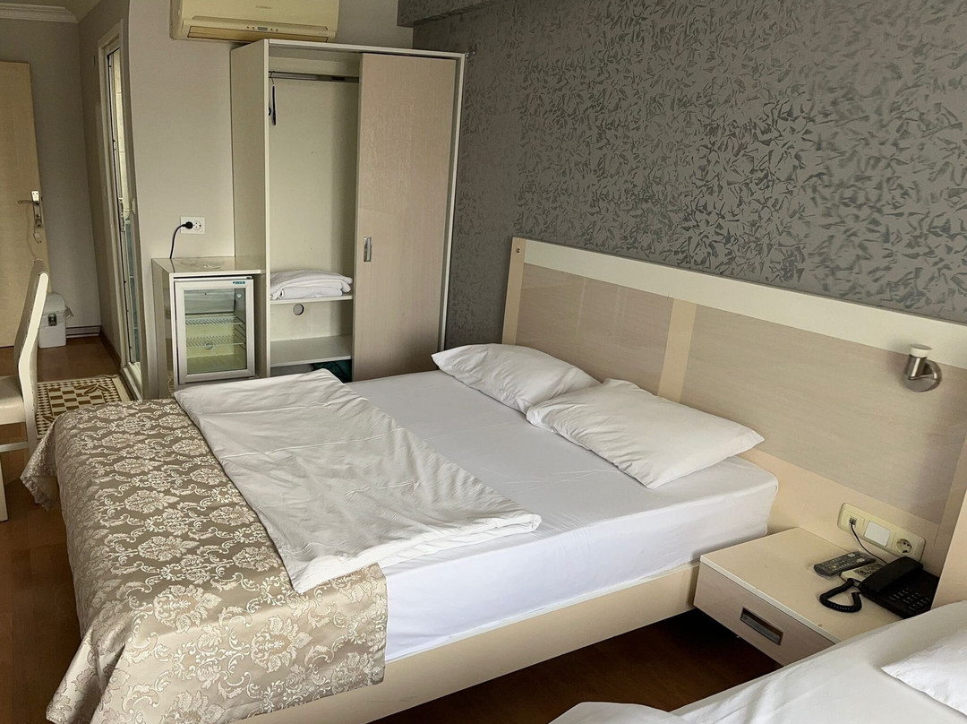 Samsun Park Hotel主图