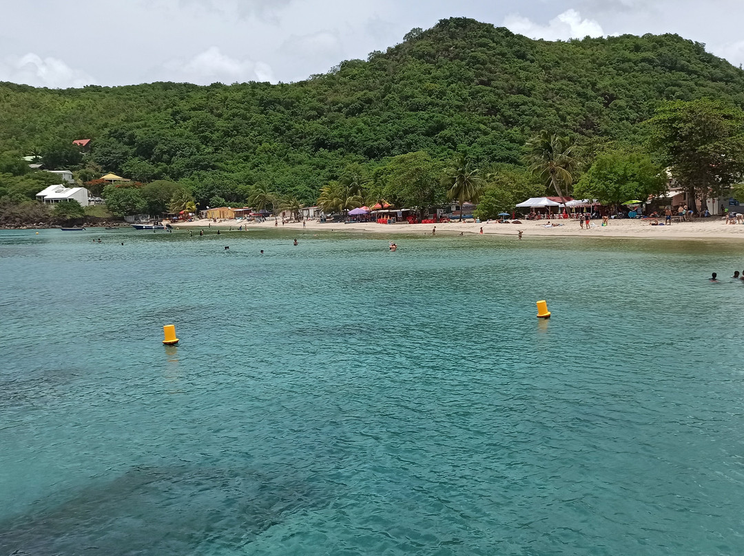 Petit Anse-Les Anses d'Arlet必去景点