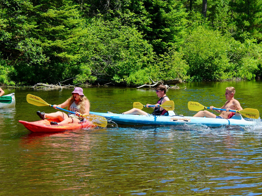 Shel-haven Rentals-Grayling必去景点