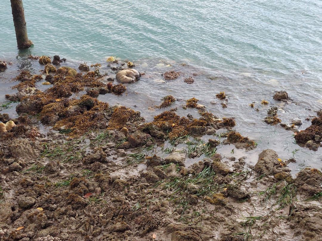 Telunas Private Island主图